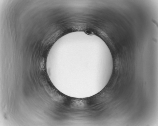 X0000099400073200805291218