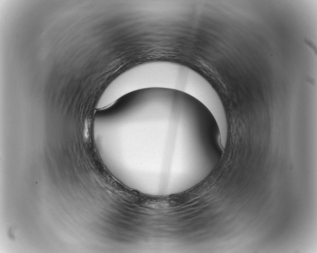 X0000099400075200805291218