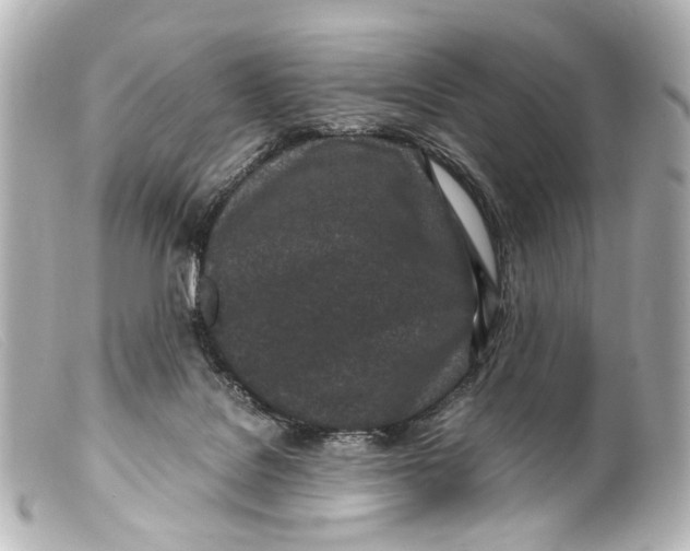 X0000099400076200805291219