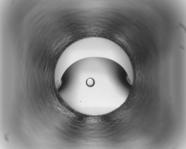 X0000099400077200805291219