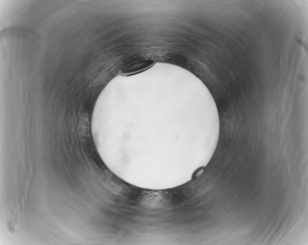 X0000099400083200805291219