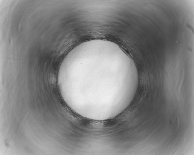 X0000099400084200805291219
