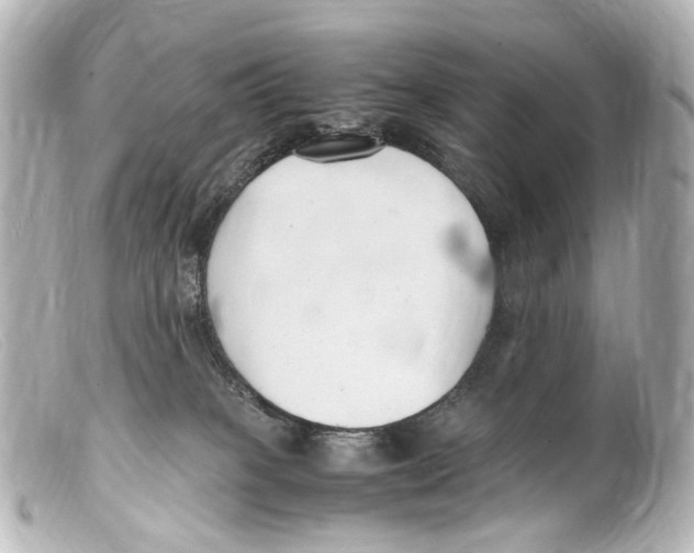 X0000099400085200805291219