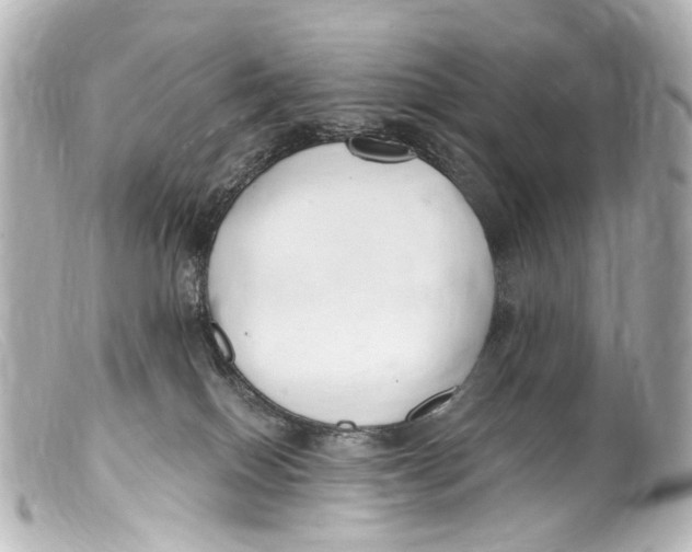 X0000099400086200805291219