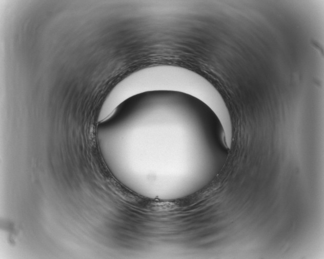 X0000099400087200805291219