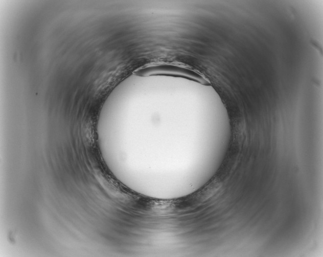 X0000099400088200805291219