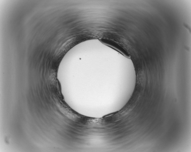 X0000099400092200805291219