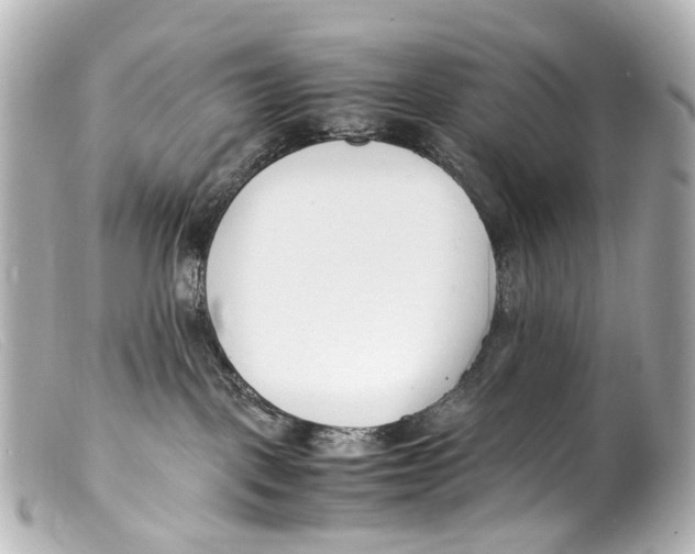 X0000099400093200805291219