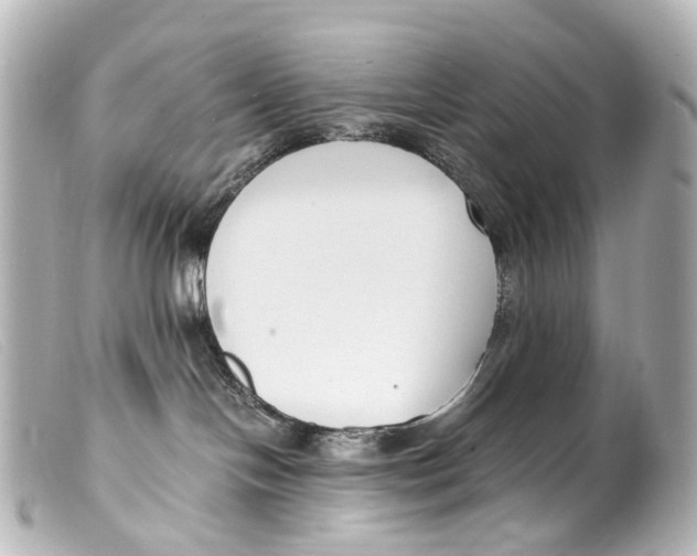 X0000099400094200805291219