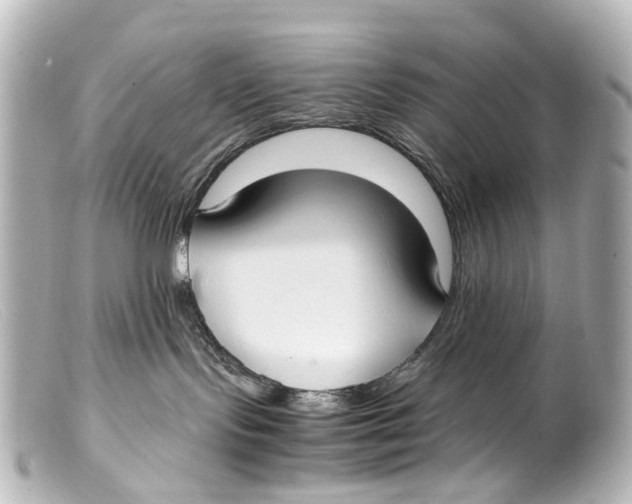 X0000099400095200805291219