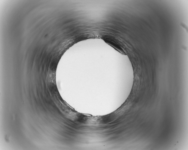X0000099400096200805291219