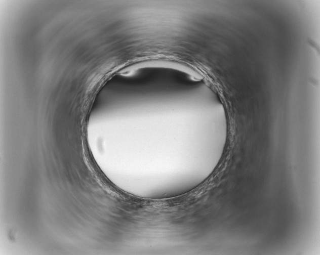 X0000099400097200805291218