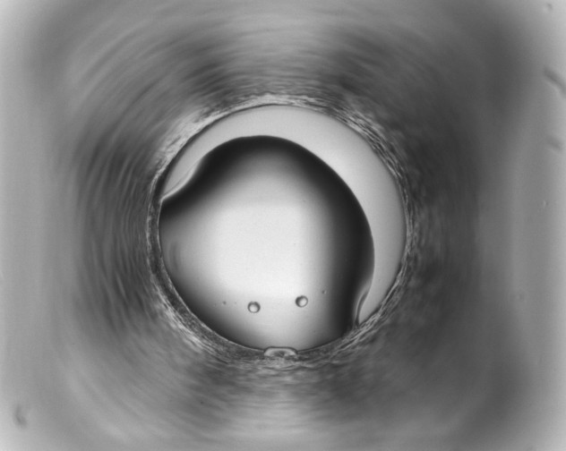 X0000099400098200805291218