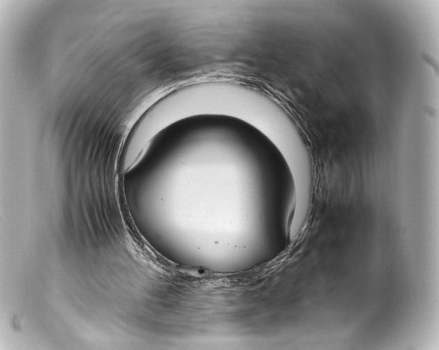 X0000099400100200805291218