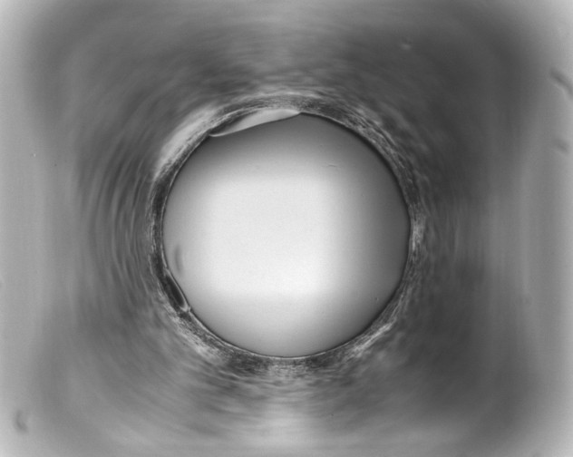 X0000099400101200805291218