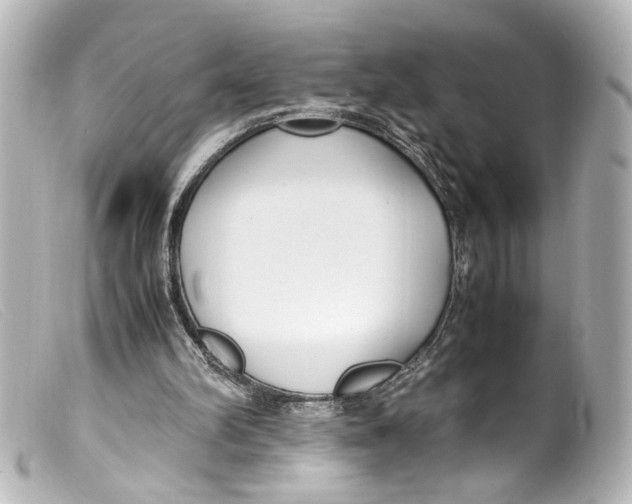 X0000099400102200805291218