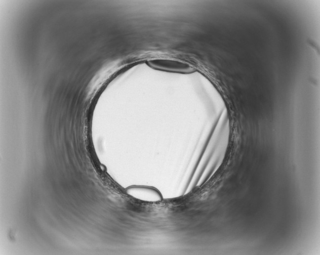X0000099400103200805291218