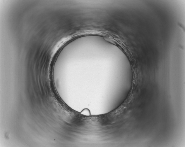 X0000099400104200805291218