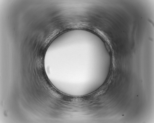 X0000099400105200805291218