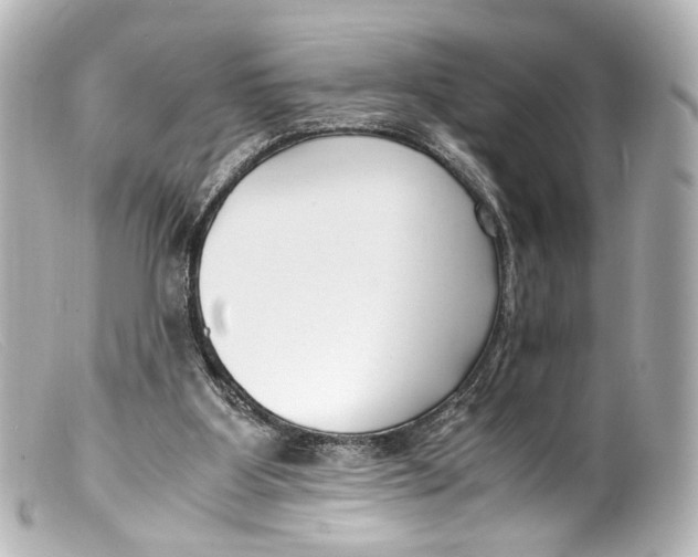 X0000099400107200805291218