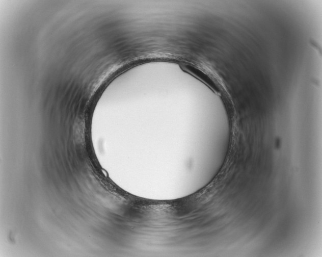 X0000099400108200805291218