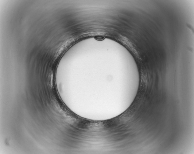 X0000099400110200805291218