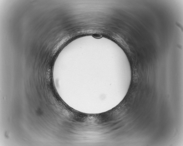 X0000099400111200805291218