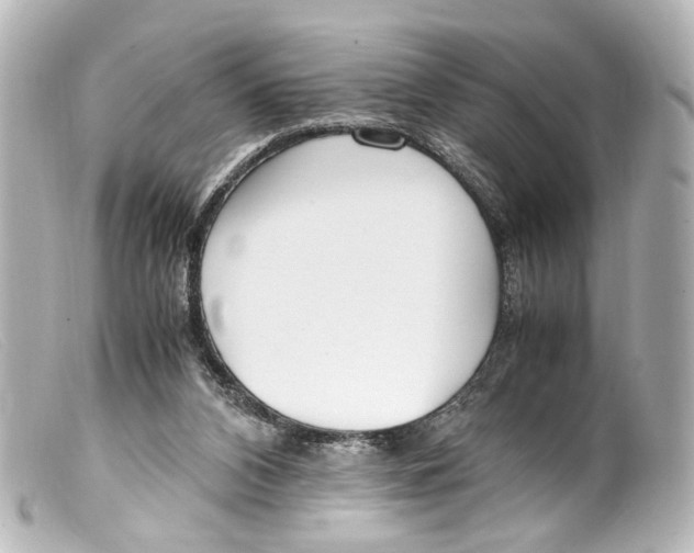 X0000099400112200805291218