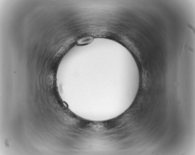 X0000099400113200805291218