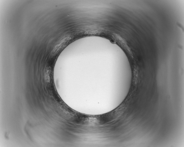 X0000099400114200805291218