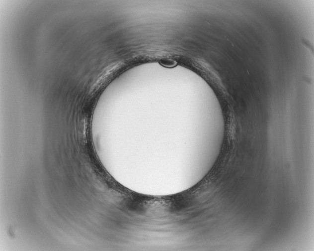 X0000099400115200805291218
