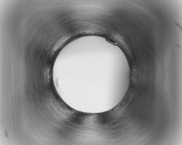 X0000099400116200805291218