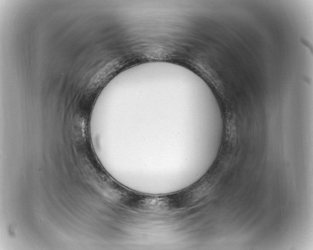 X0000099400117200805291218