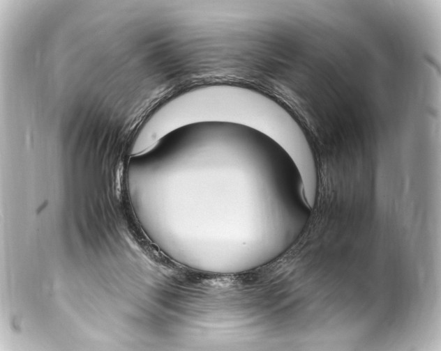 X0000099400118200805291218