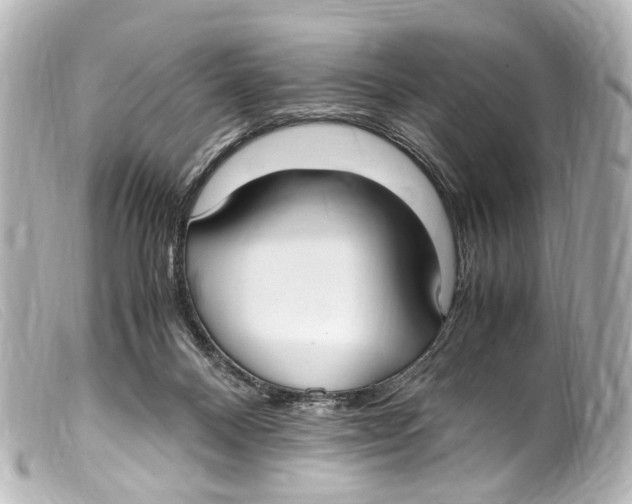 X0000099400120200805291218