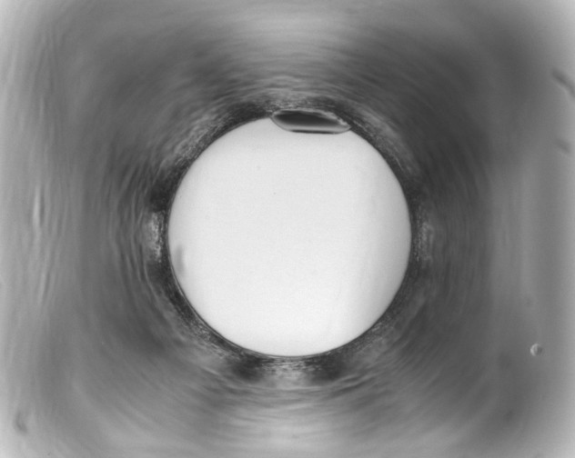 X0000099400121200805291218