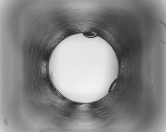 X0000099400122200805291218