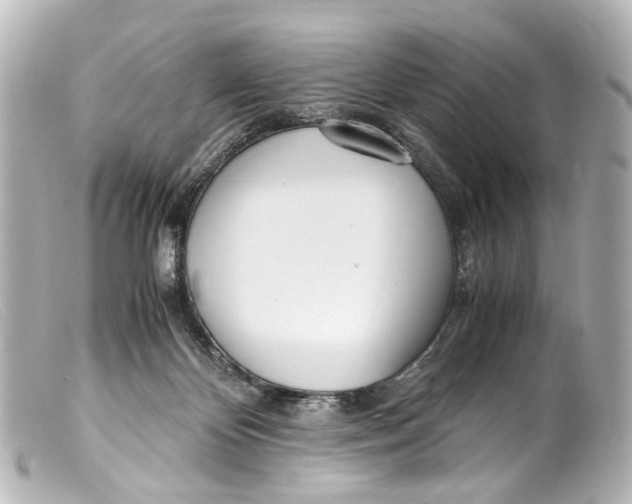 X0000099400124200805291218