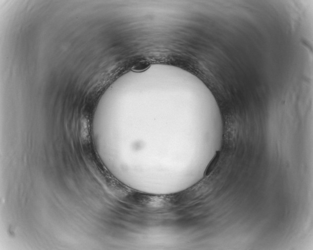 X0000099400130200805291218