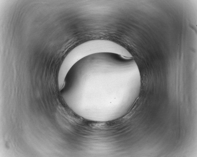 X0000099400132200805291218