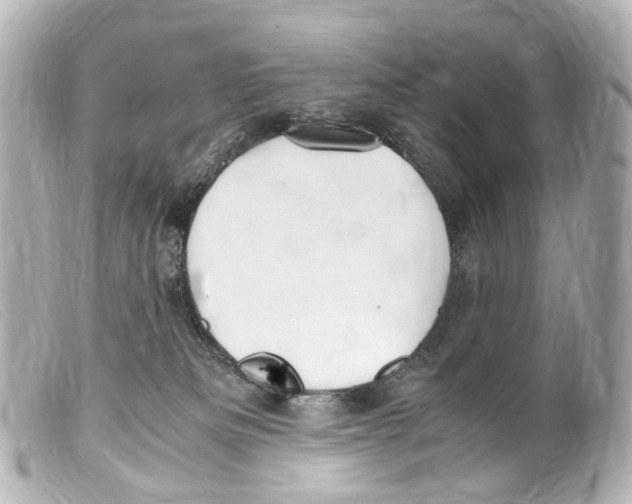 X0000099400133200805291218