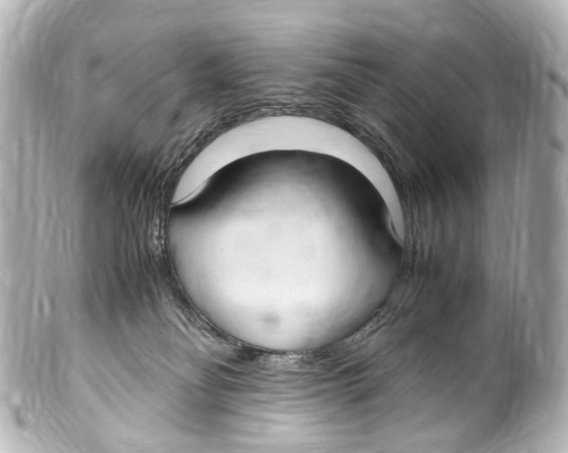 X0000099400134200805291218