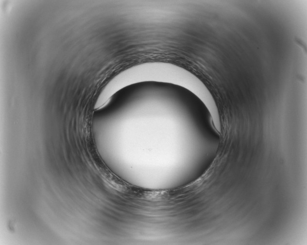 X0000099400136200805291218