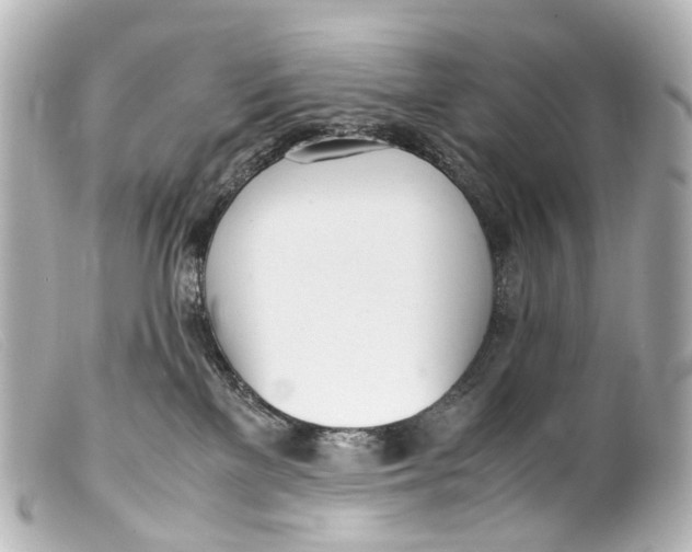 X0000099400137200805291218