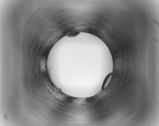 X0000099400138200805291218