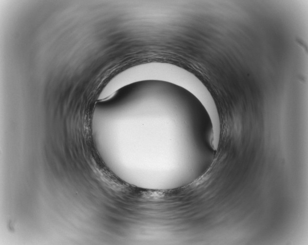 X0000099400140200805291218