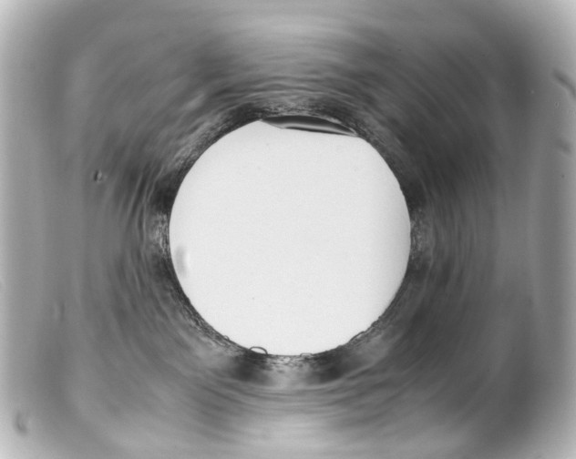X0000099400141200805291218