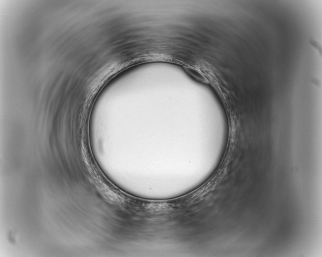 X0000099400145200805291217