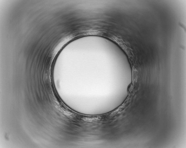 X0000099400147200805291217