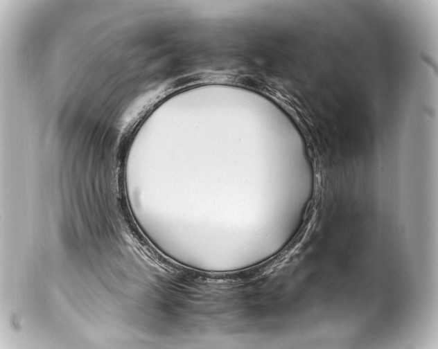 X0000099400149200805291217